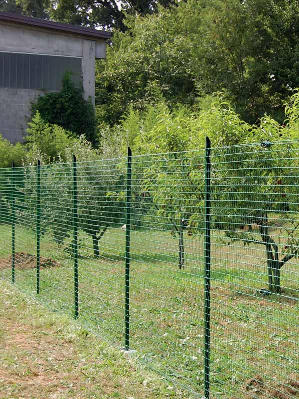 Fences