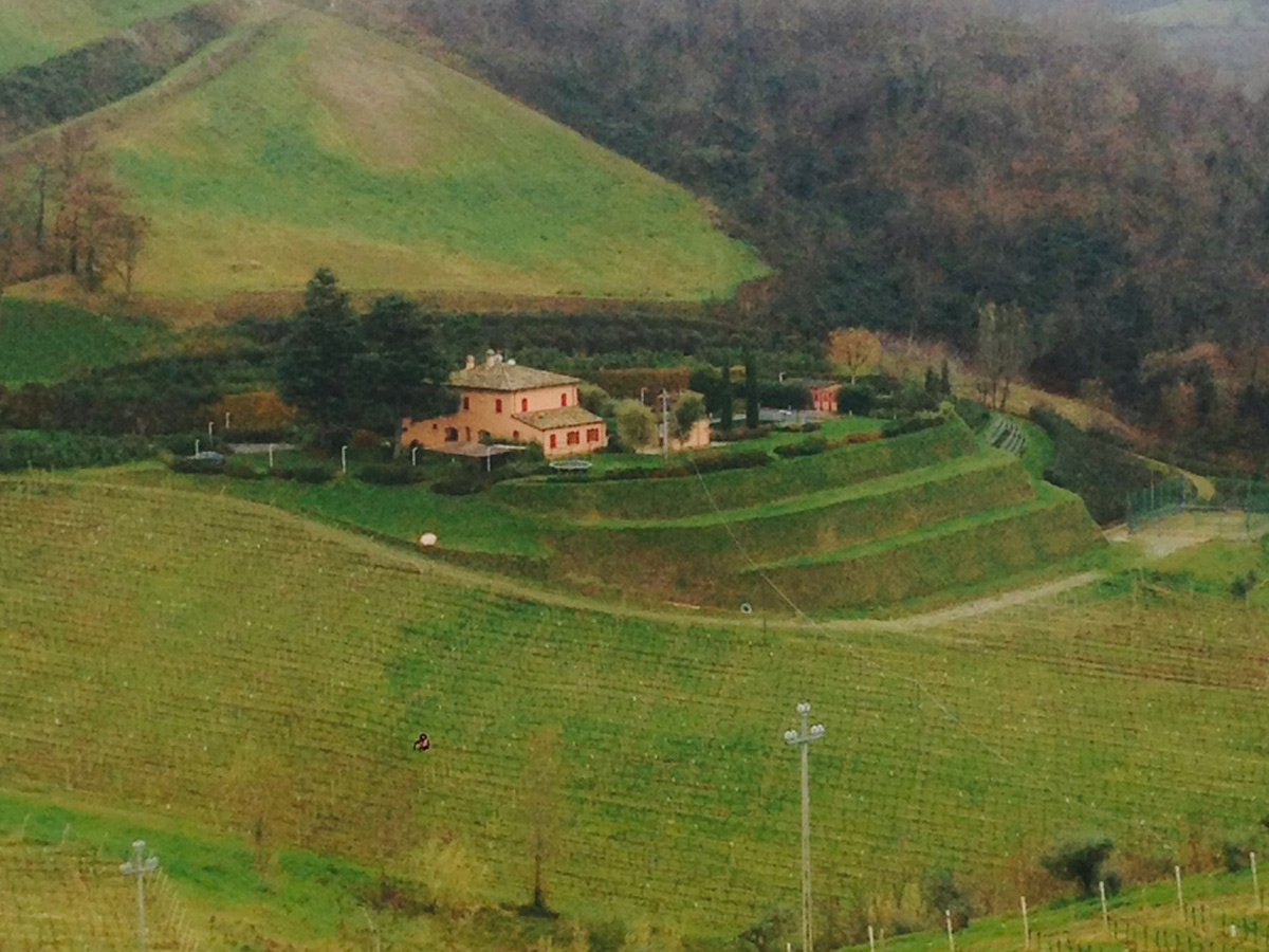 Muro di sostegno in terra rinforzata rinverdita Sistema Tenax Rivel
