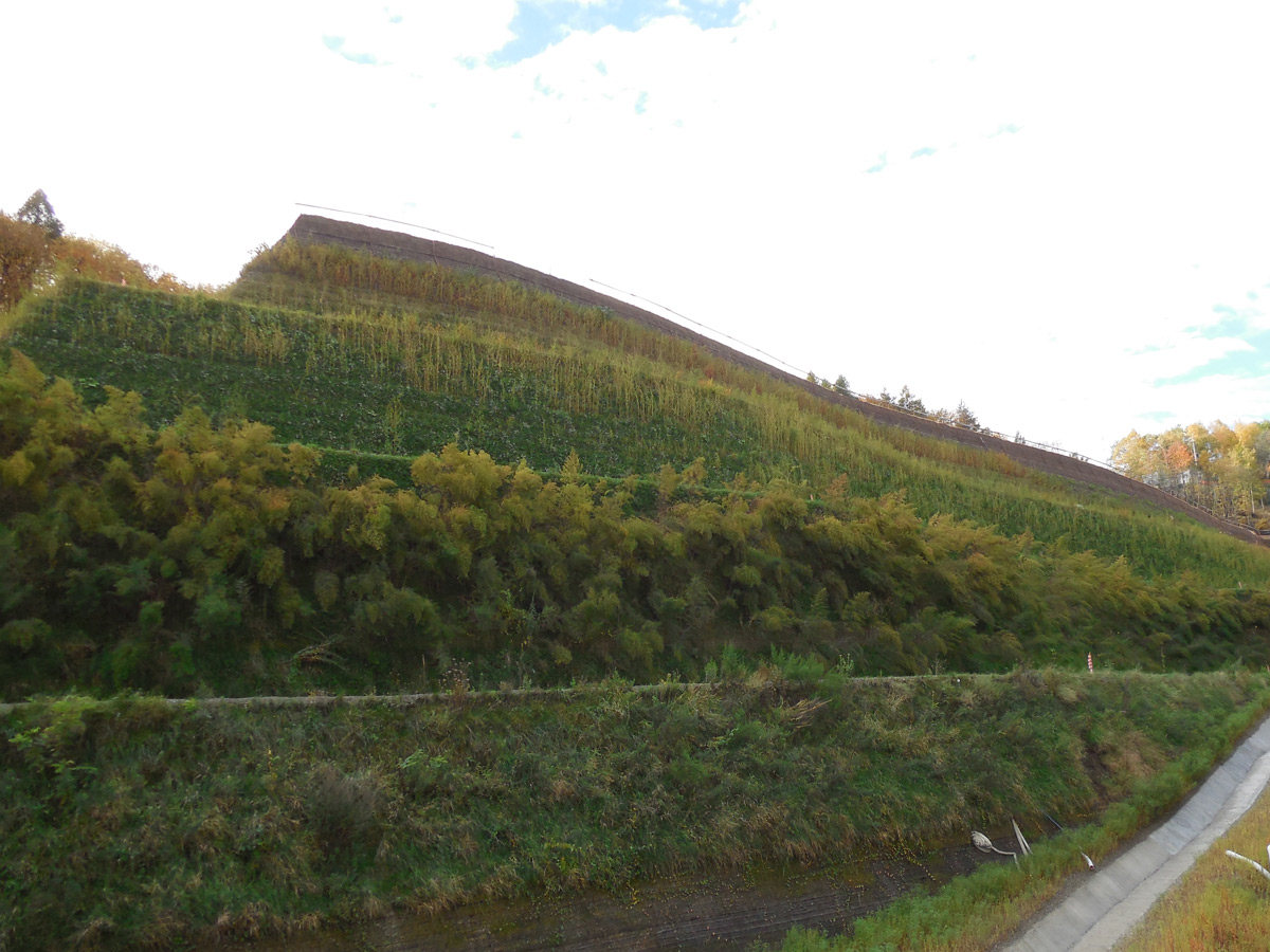 Muro di sostegno in terra rinforzata rinverdita Sistema Tenax Rivel