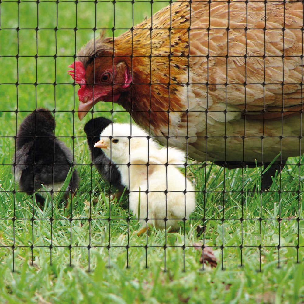 Applicazione AVIARY per chiusura di gabbie e pollai