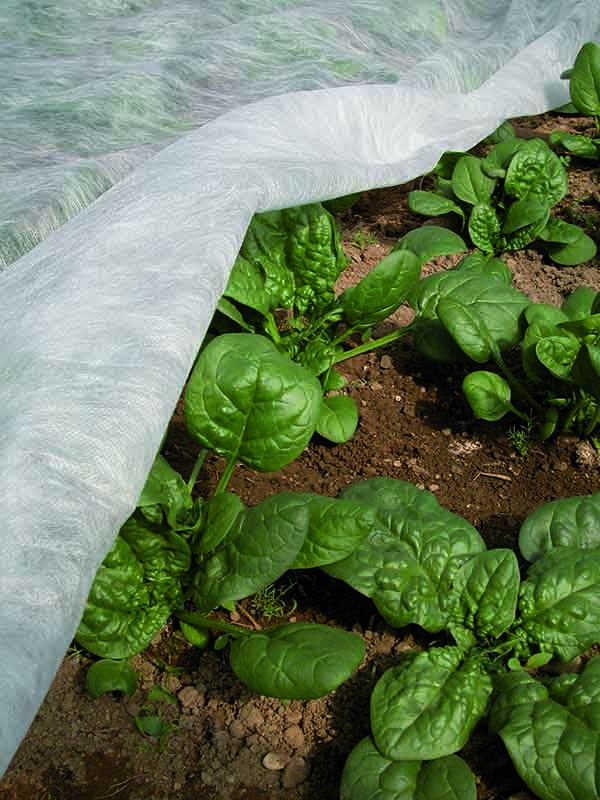 Einen Gemüsegarten bebauen