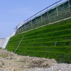 Rilevato stradale in terra rinforzata Sistema Tenax Rivel