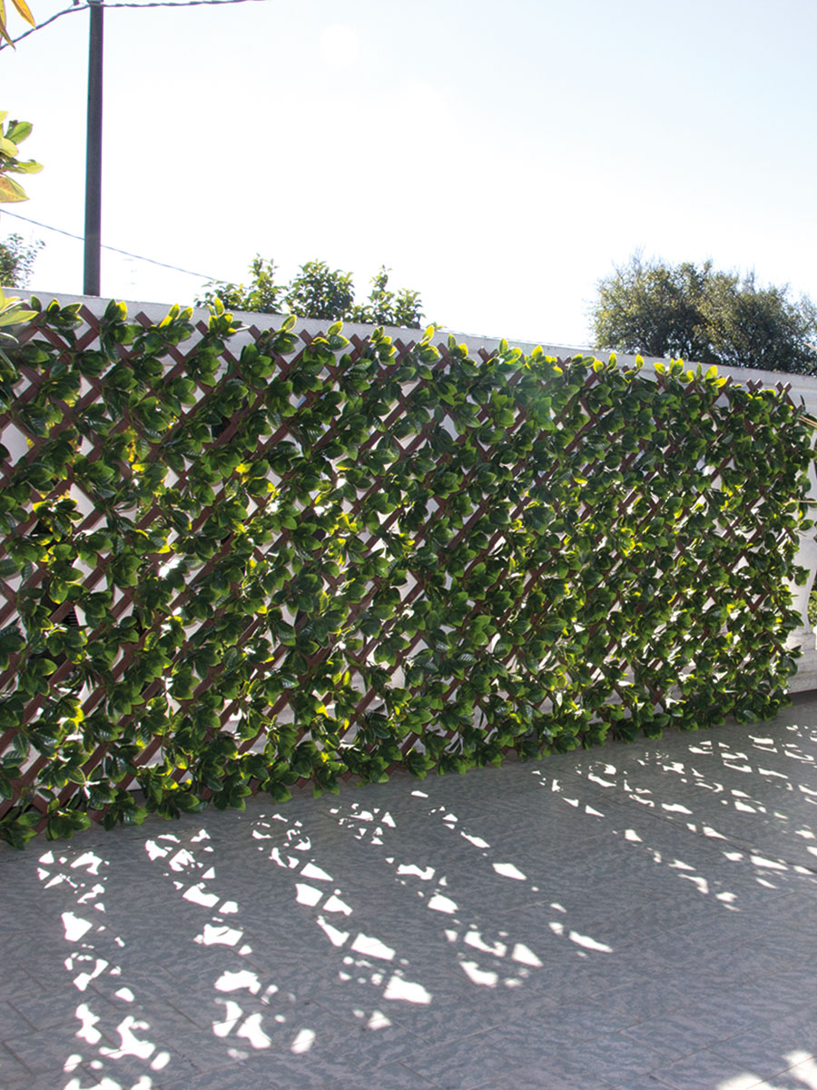 DIVY TRELLIS PLUS 3D