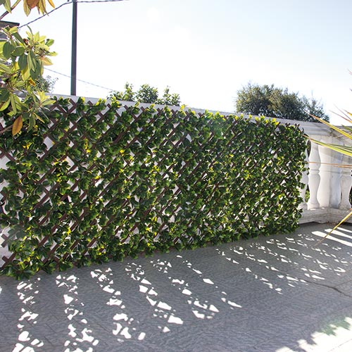 DIVY TRELLIS 3D