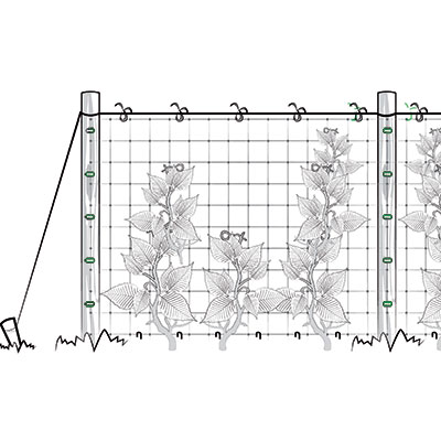 Installazione verticale rete per rampicanti - fase 2