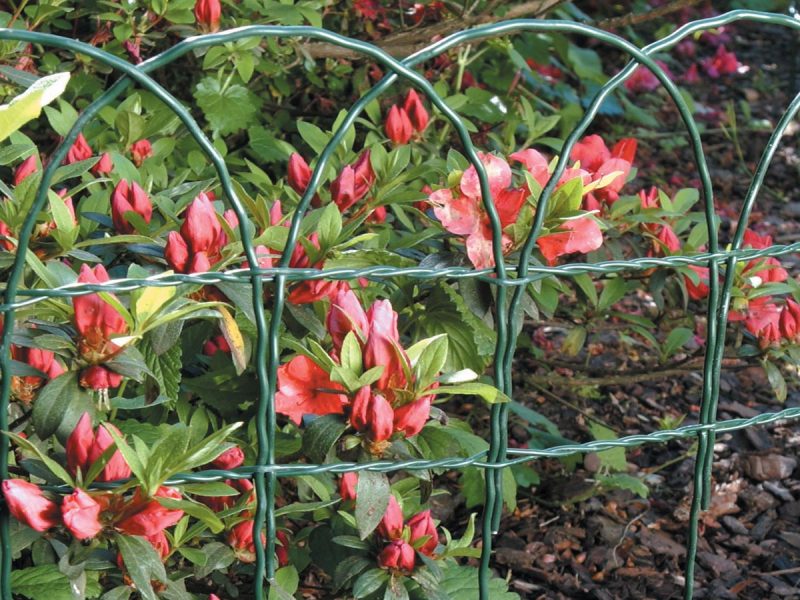 bordura decorativa TENAX ONDAMET