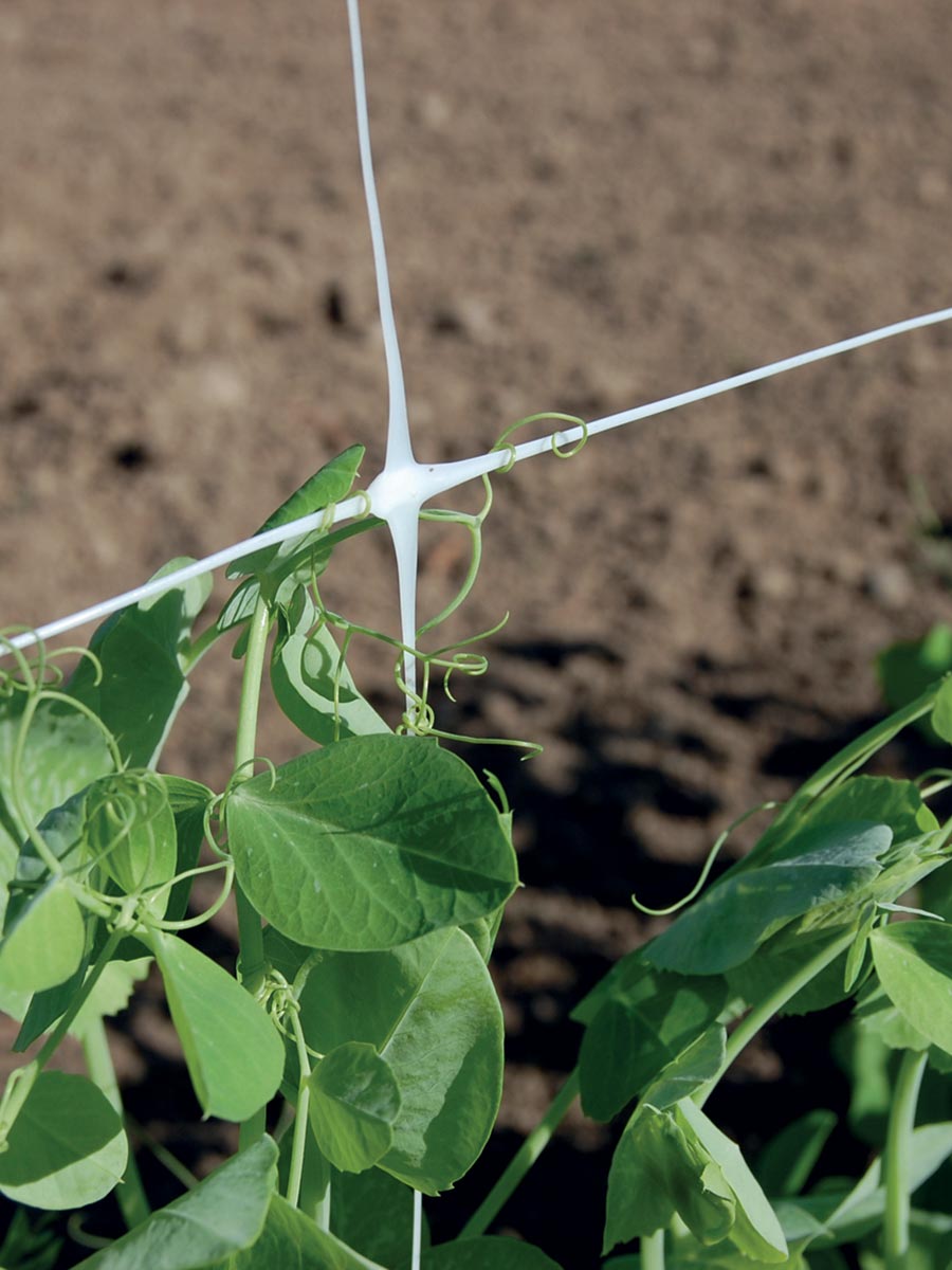 RETI ORTOFRUTTA IN NYLON SOSTENGREEN per ortaggi rampicanti