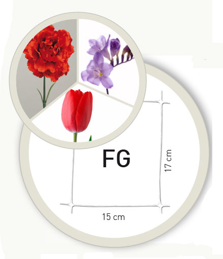 Mosaico-maglia-HORTONOVA-FG