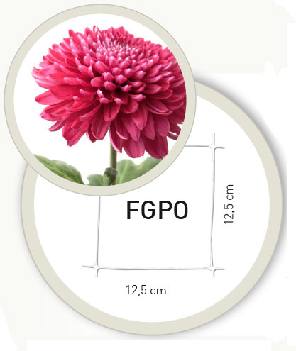 Mosaico-maglia-HORTONOVA-FGPO
