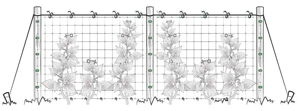 disegno-HORTONOVA-VERTICALE