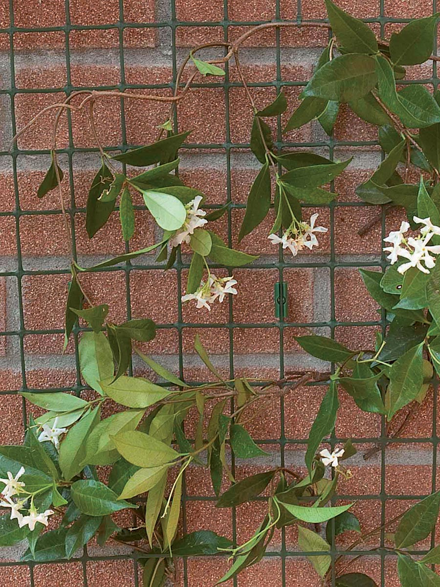 Kunststoffgitter  Gitter für Haus und Garten TENAX