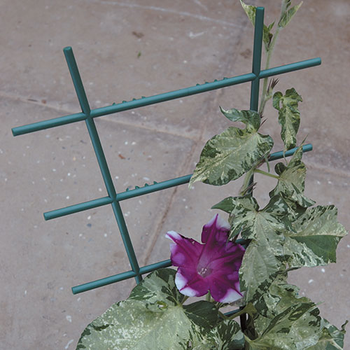 Sostegno a scala per fiori a cespuglio