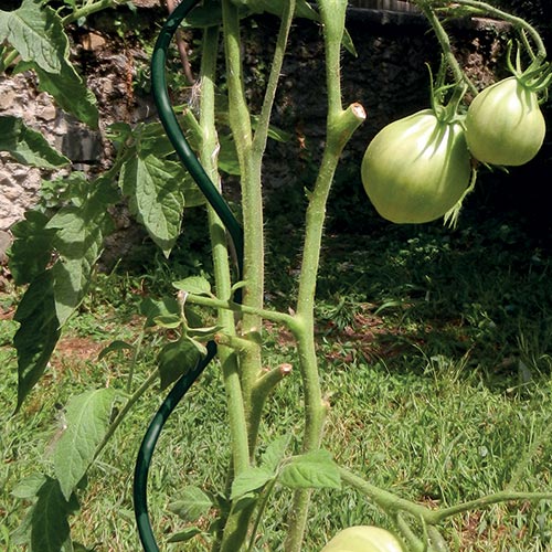 Tutori per il sostegno di fiori, piante e ortaggi. Tenax.