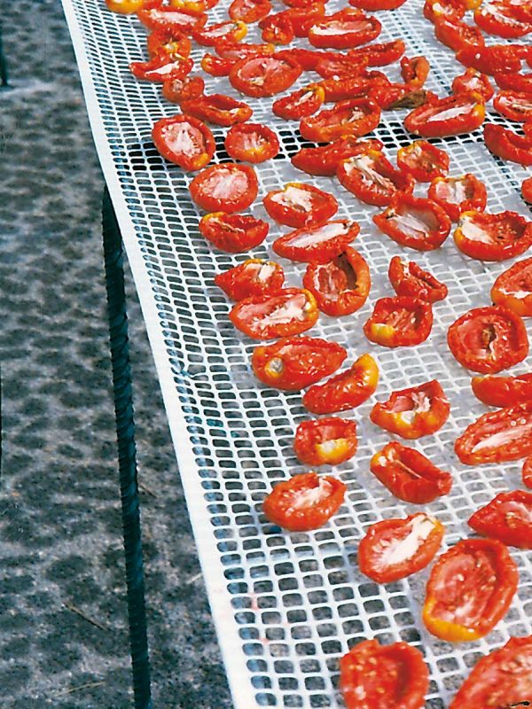 Fruit collection & drying