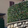 DIVY 3D PLUS PHOTINIA