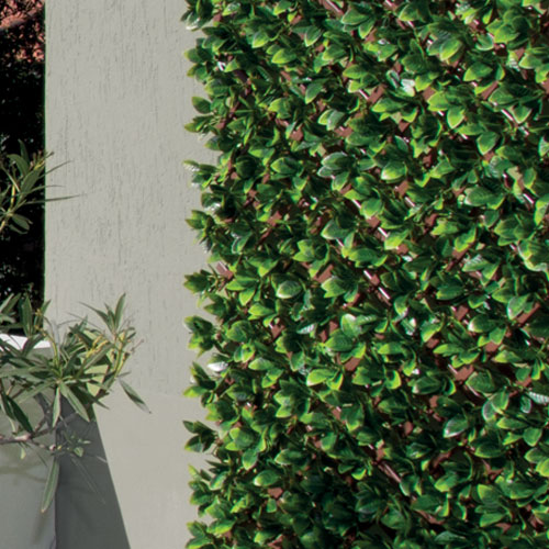 DIVY 3D TRELLIS