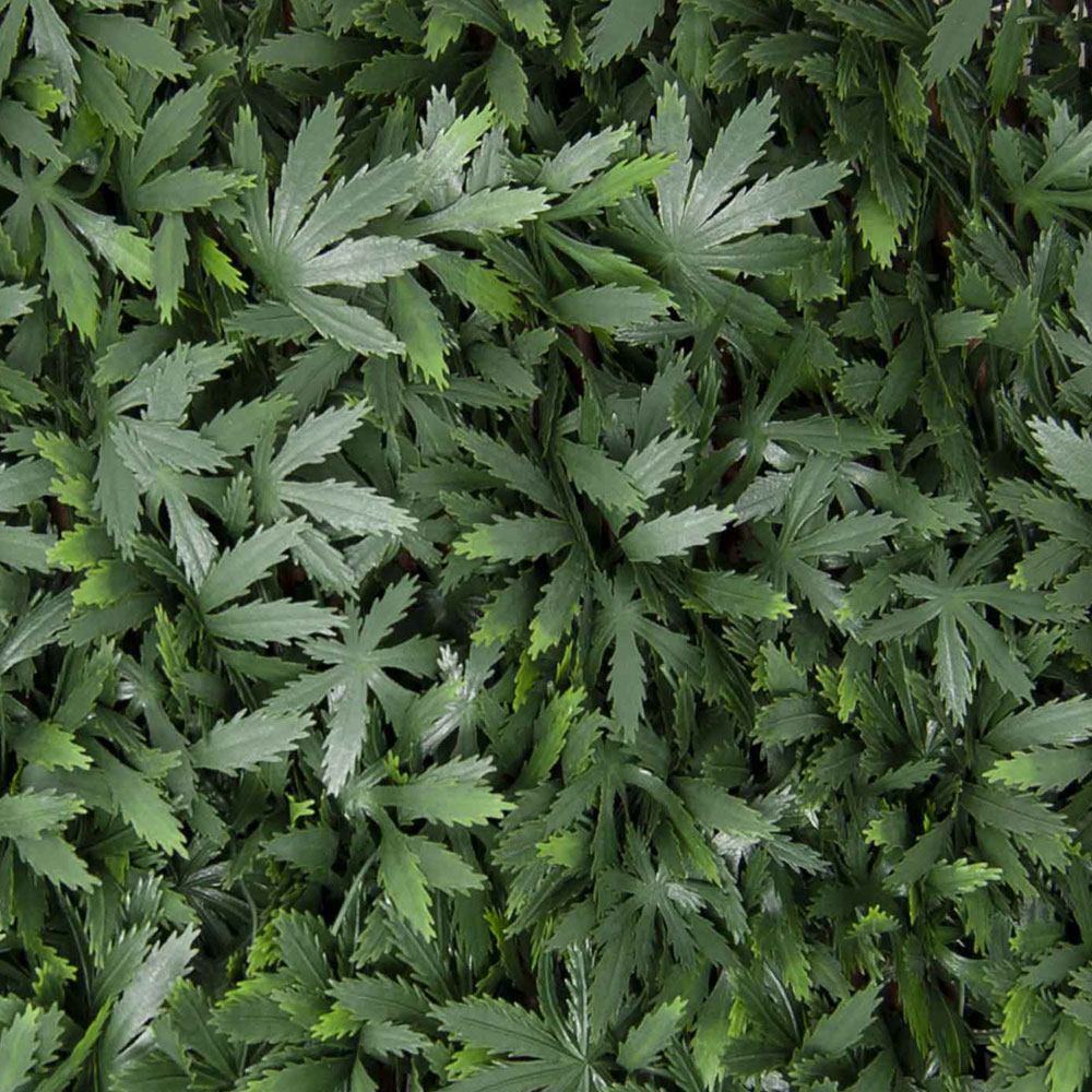 traliccio decorativo con foglie tipo Acero Verde