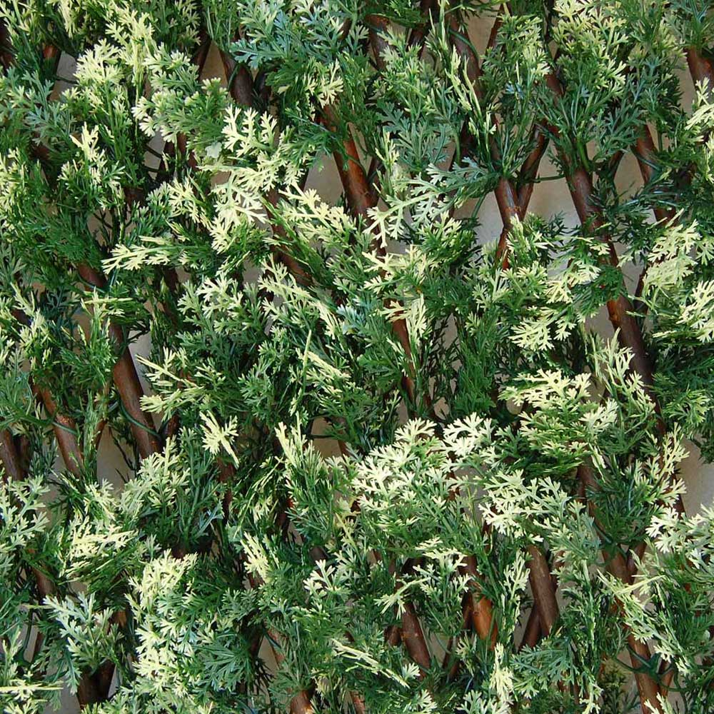 Schermature-decorative-siepi-artificiali-divy-3d-x-tens-cyprus