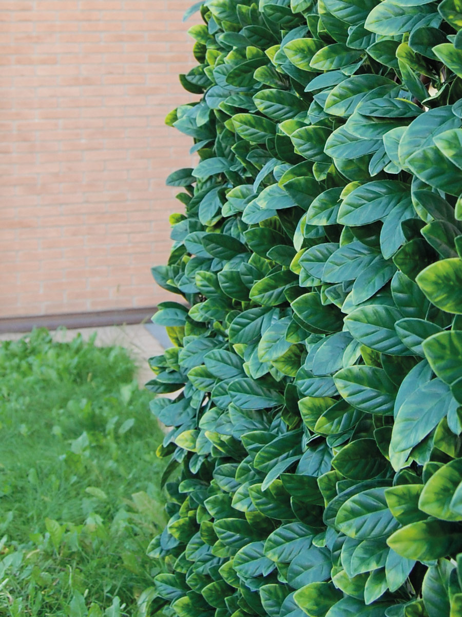 Siepi artificiali, siepi sintetiche. Verde verticale, TENAX.