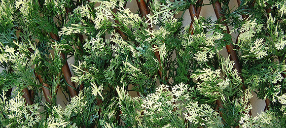 DIVY 3D X-TENS CYPRUS