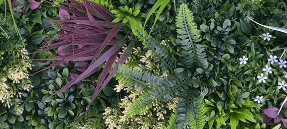 DIVY PANEL AMAZZONIA