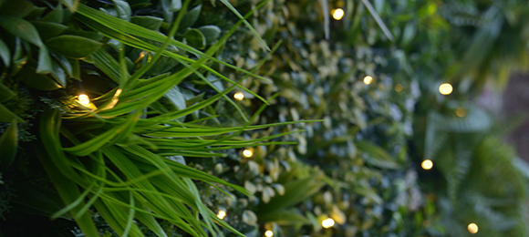 DIVY PANEL JUNGLE LED