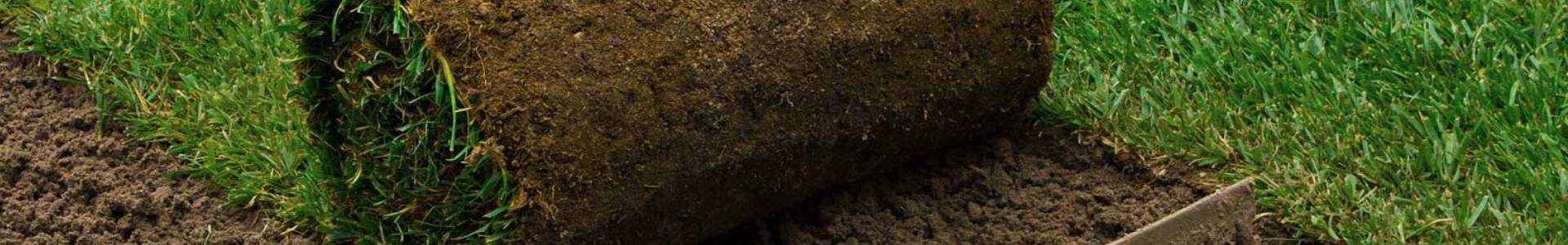 Rinforzo prato a zolle