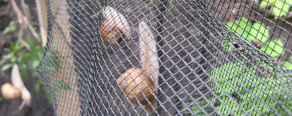 Recinzioni per elicicoltura