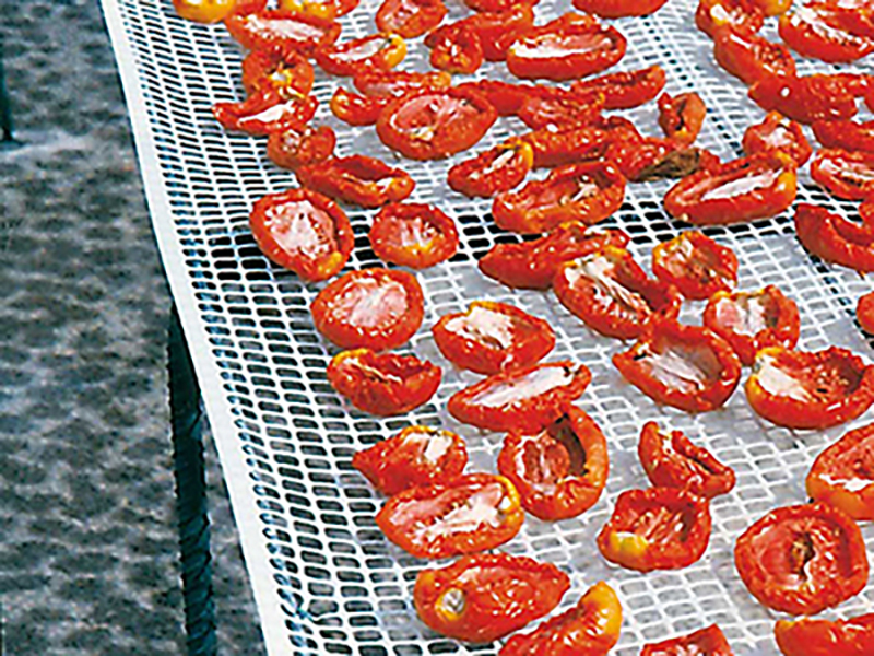 Raccolta ed essicazione frutti