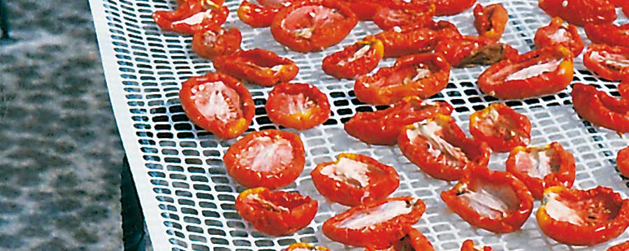 Essicazione pasta/frutta/erbe