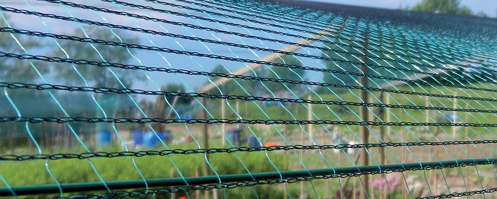 Protezione colture da grandine, uccelli, insetti