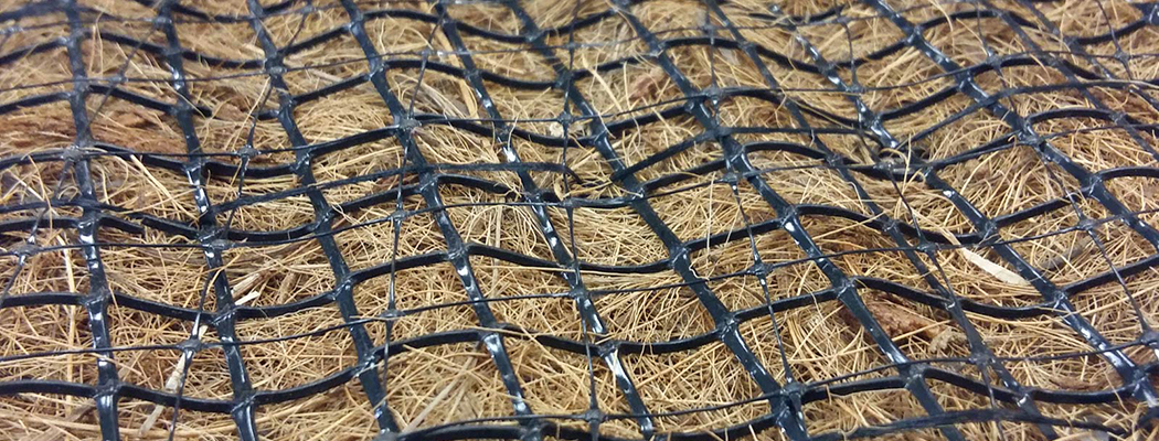 Controllo dell'Erosione