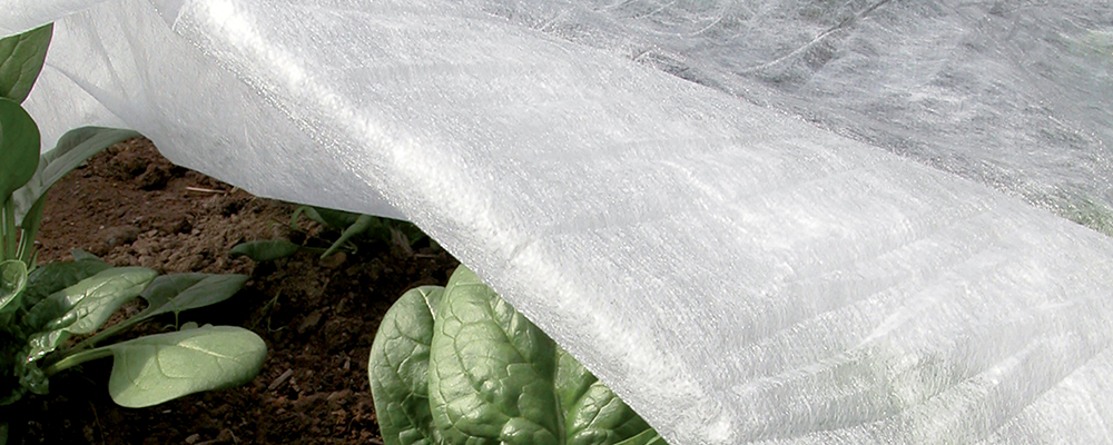 Protezione colture dal freddo