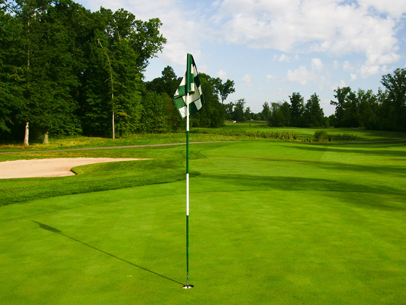 Reti per campi da golf