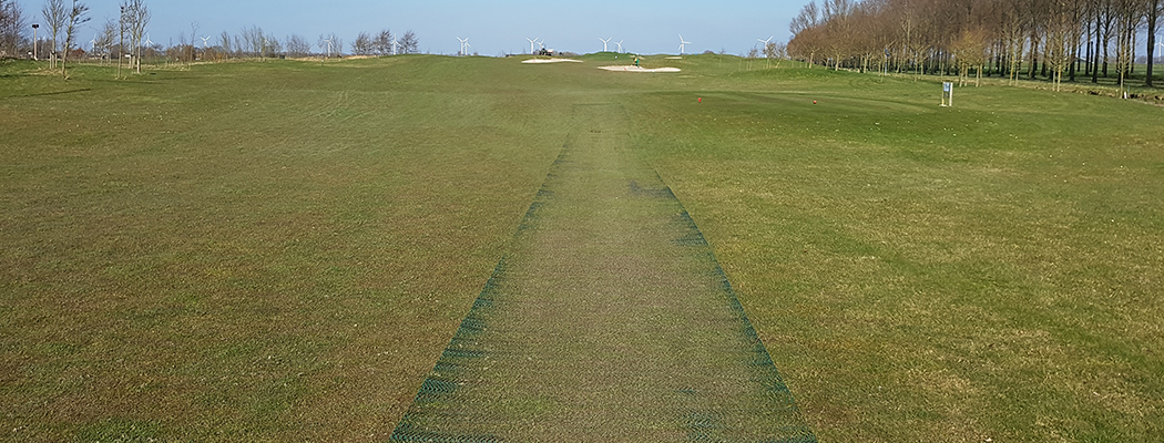 Superfici verdi rinforzate