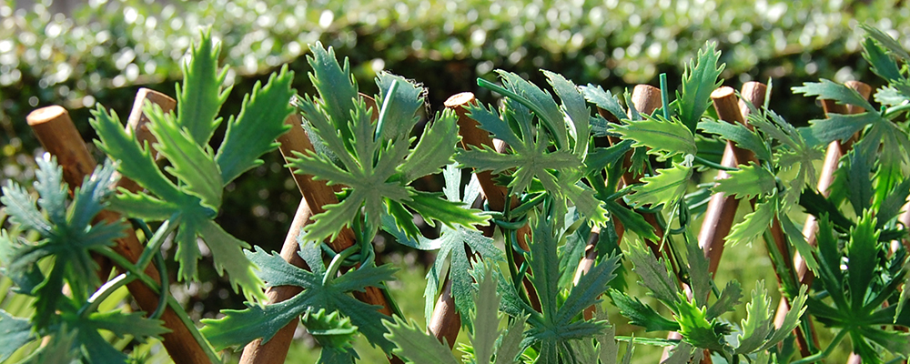 Tralicci estensibili