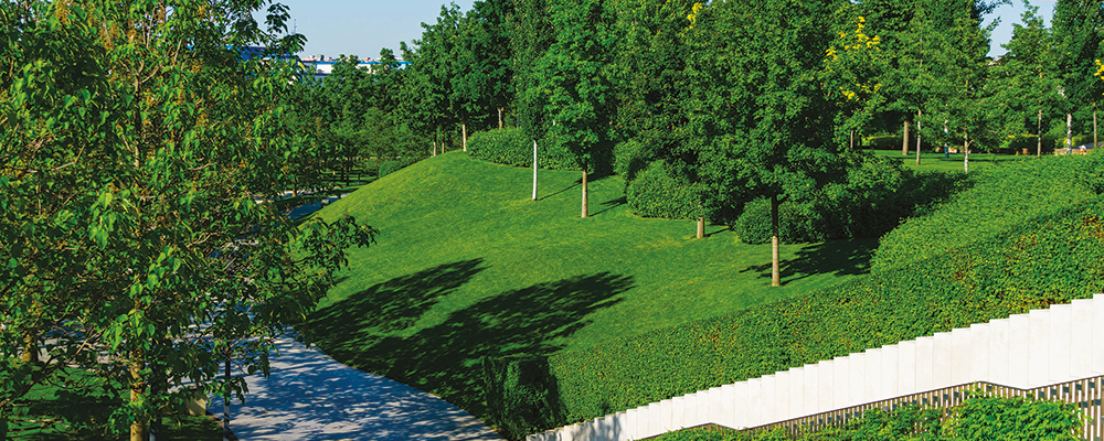 Consolidamento del verde urbano e ambientale