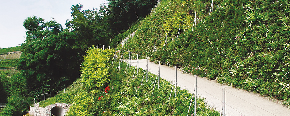 Contenimento del terreno e muri di sostegno