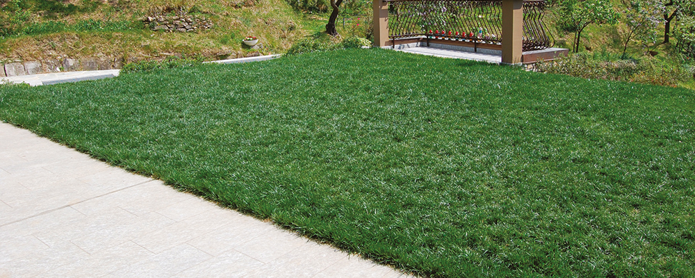 Verde pensile e pacciamatura